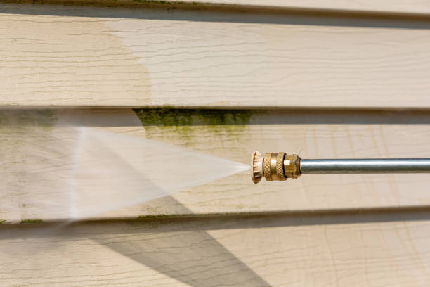 Best Roof Pressure Washing  in Pooler, GA